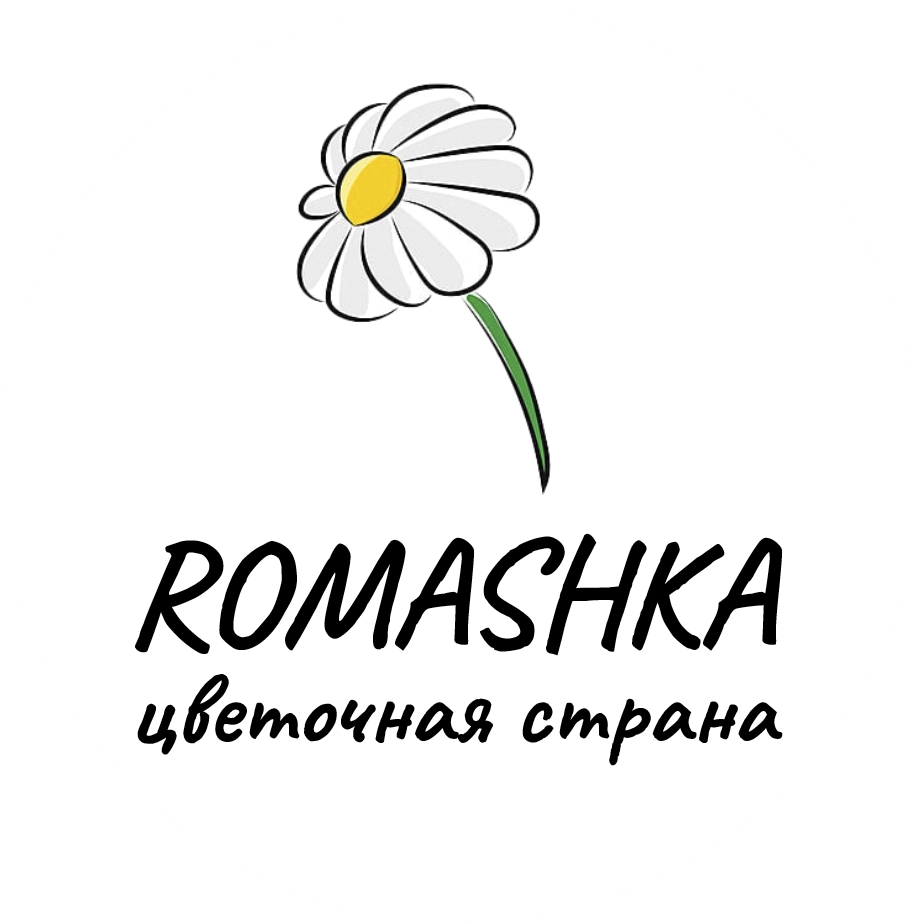 логотип romashka
